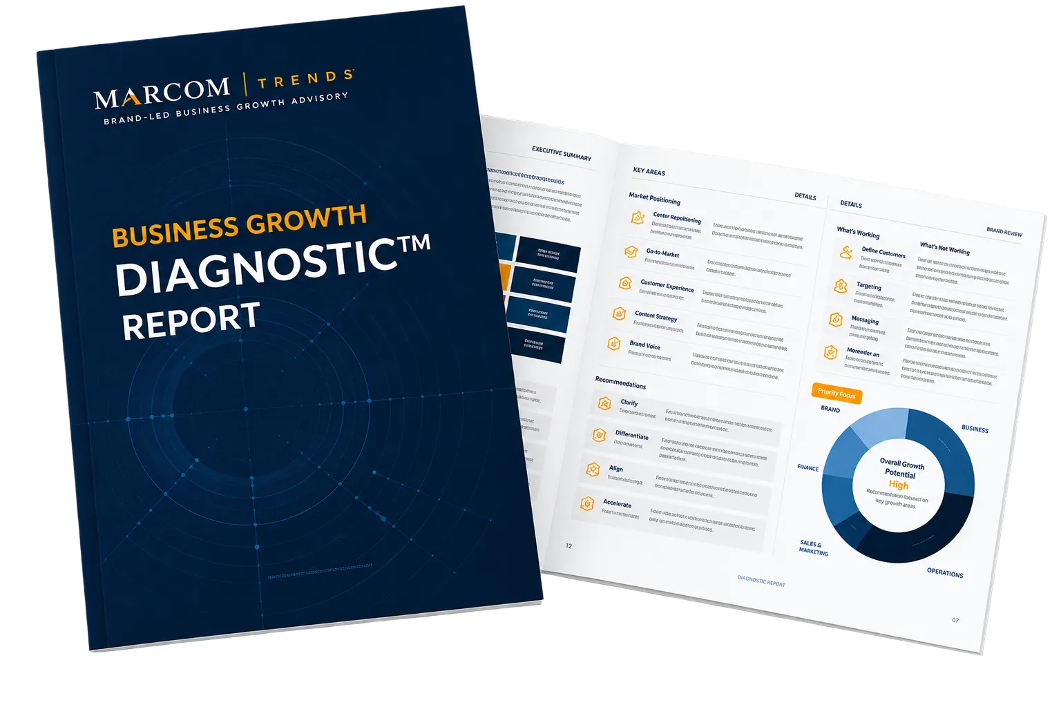 buisness growth diagnostic report_marcom trends